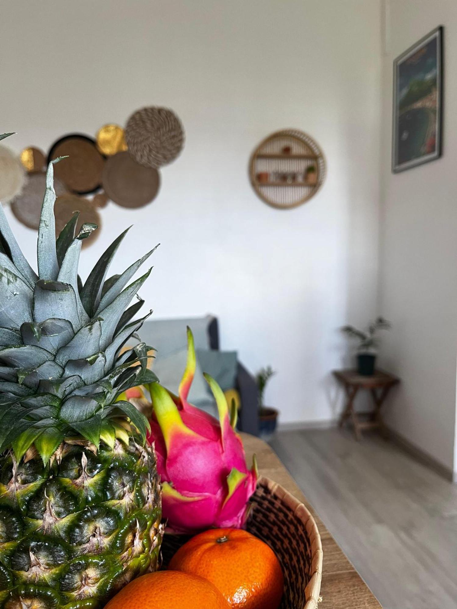 Appartement Cocon Des Alizes à La Moise Extérieur photo